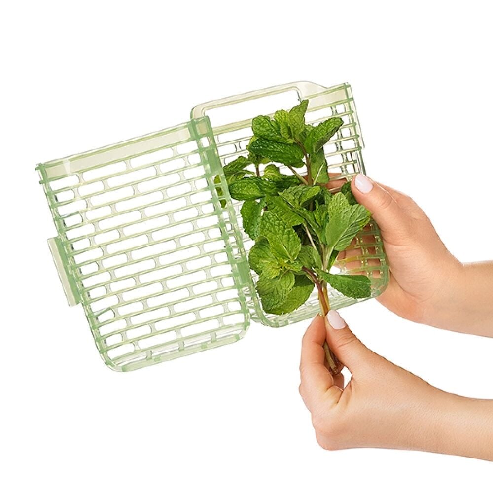 GreenSaver Herb Keeper - Small M6