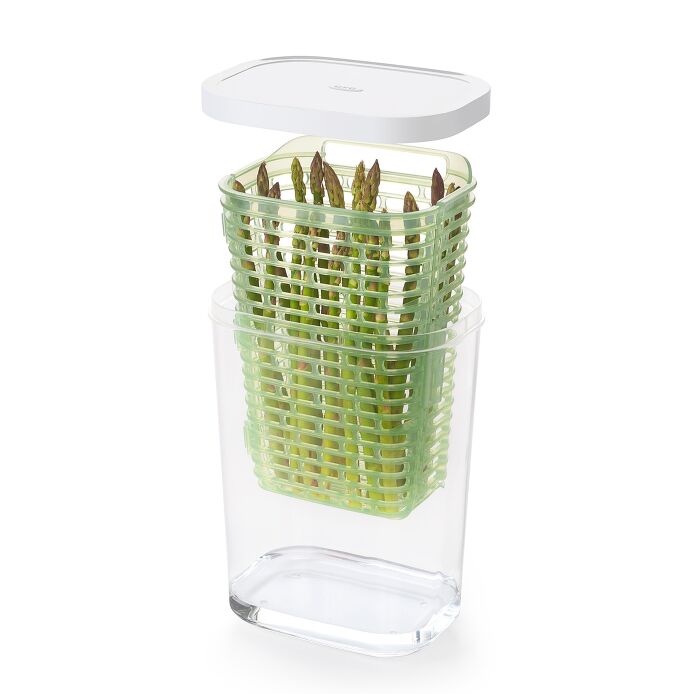 GreenSaver Herb Keeper - Large D9