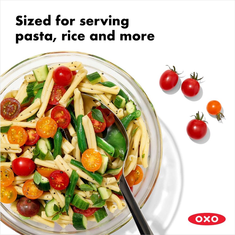 Stainless Steel Spoon B0
