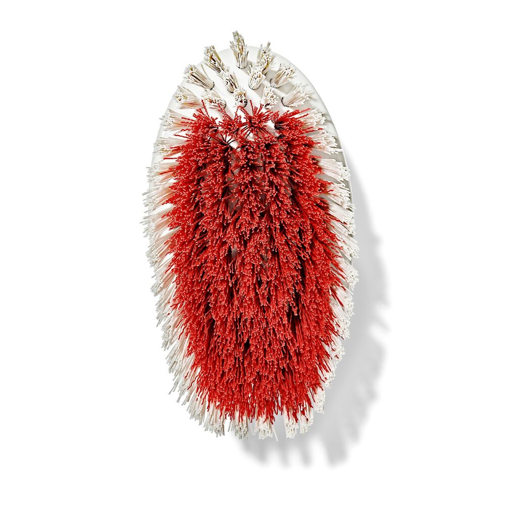 All-Purpose Scrub Brush 2-Pack F7