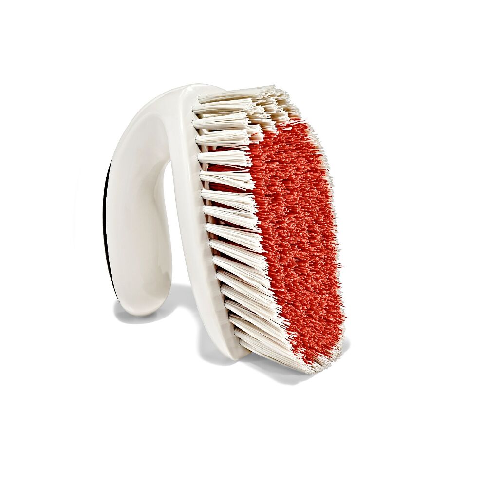All-Purpose Scrub Brush 2-Pack F7