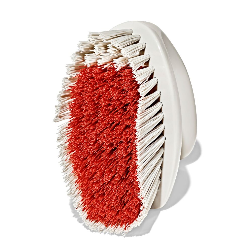 All-Purpose Scrub Brush 2-Pack F7