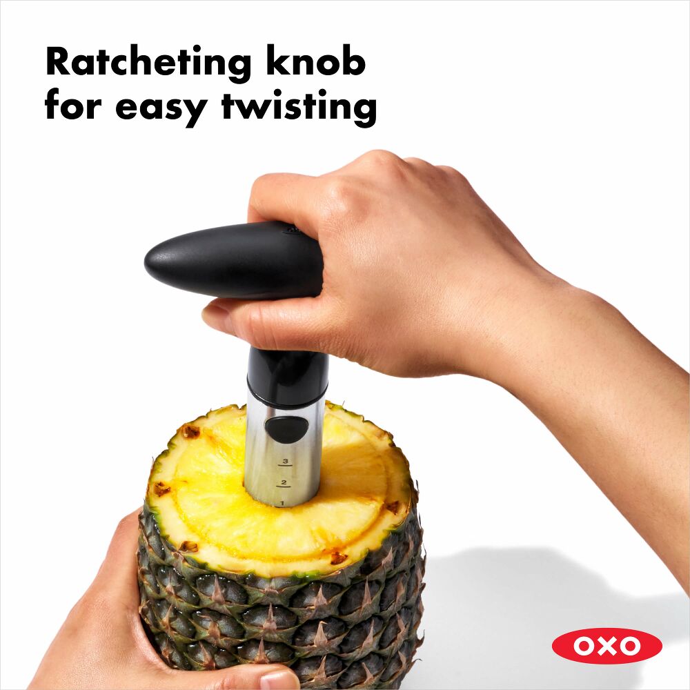 Stainless Steel Pineapple Slicer O1