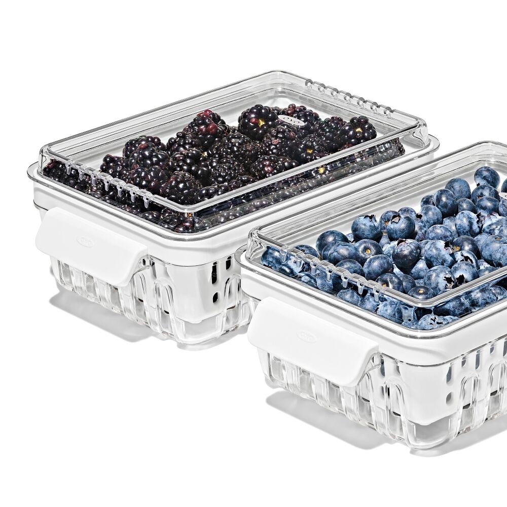 Produce Saver - Berry Keeper 2-Piece Set P0