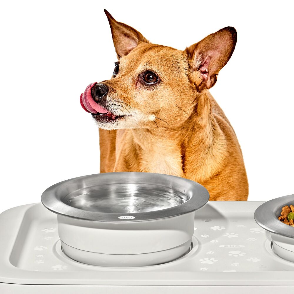 OXO Pet Nonslip Bowl - Medium, 2 Cups / 480 mL M8
