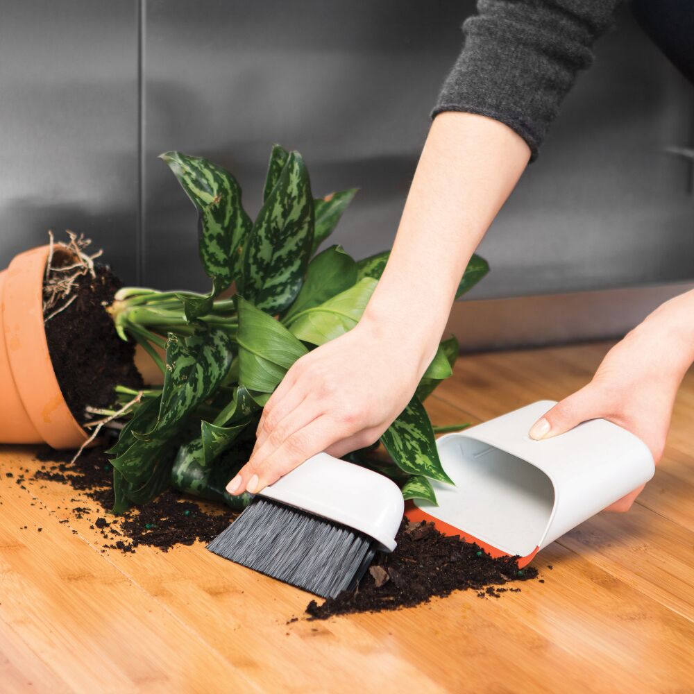 Compact Dustpan & Brush Set G0