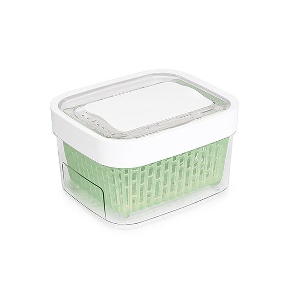 GreenSaver Produce Keeper (1.6 Qt) H7