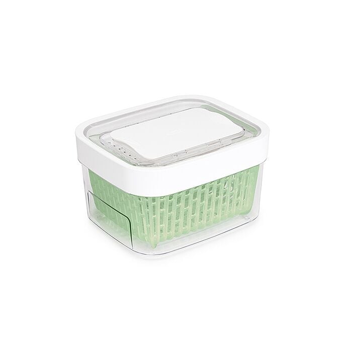 GreenSaver Produce Keeper (1.6 Qt) H7