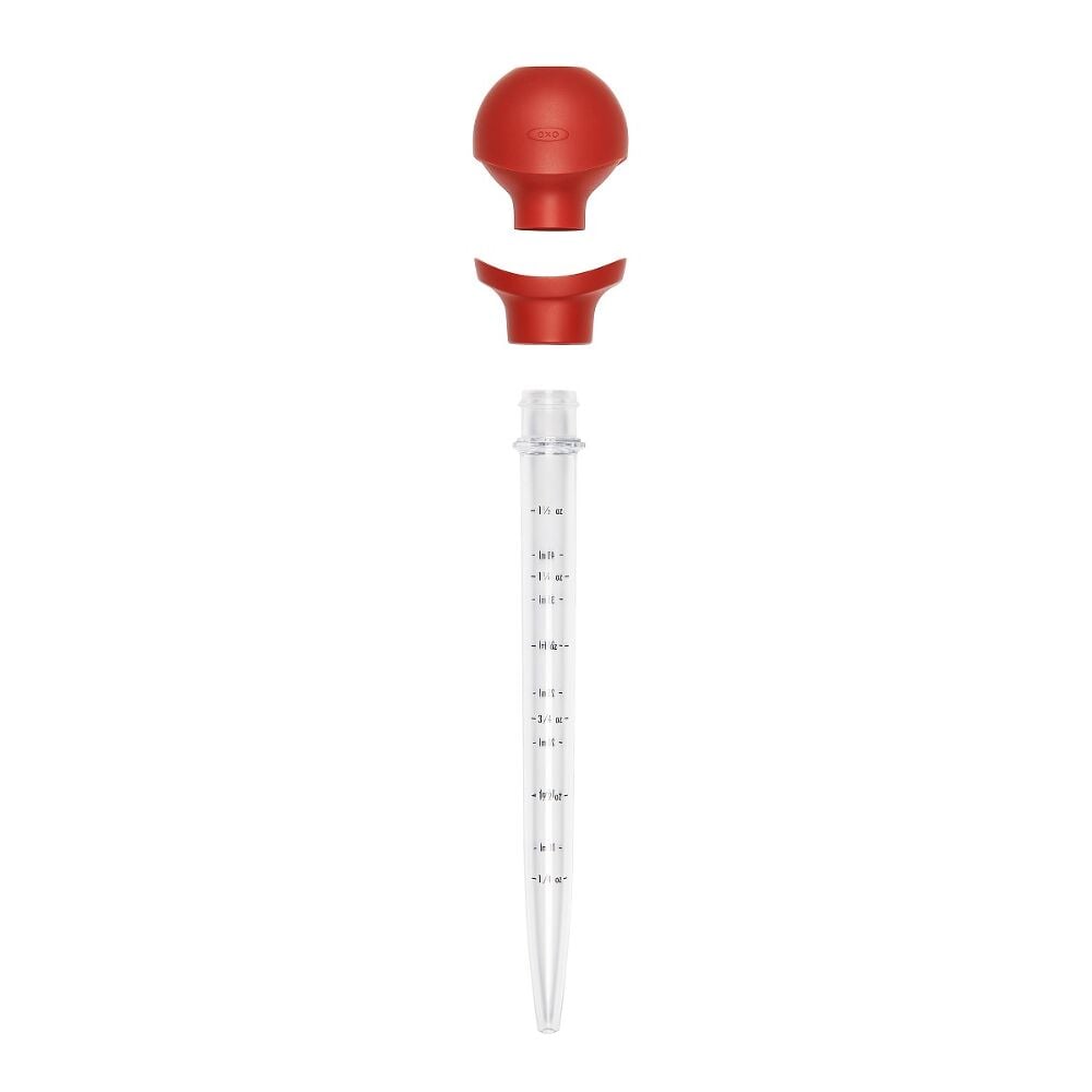 Baster with Cleaning Brush H9
