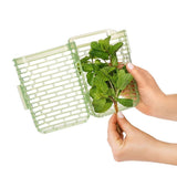 GreenSaver Herb Keeper - Small M6