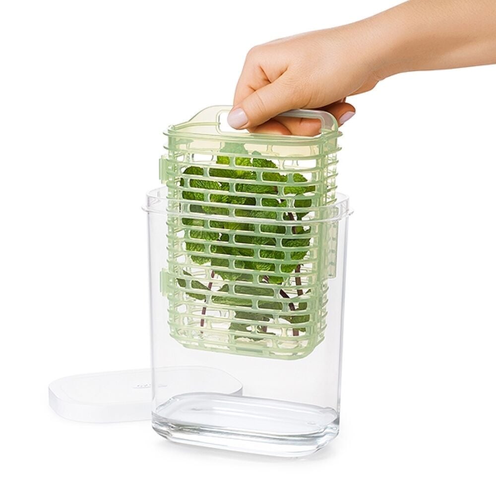 GreenSaver Herb Keeper - Small M6