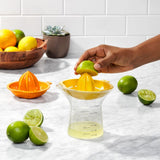 2-in-1 Citrus Juicer A1