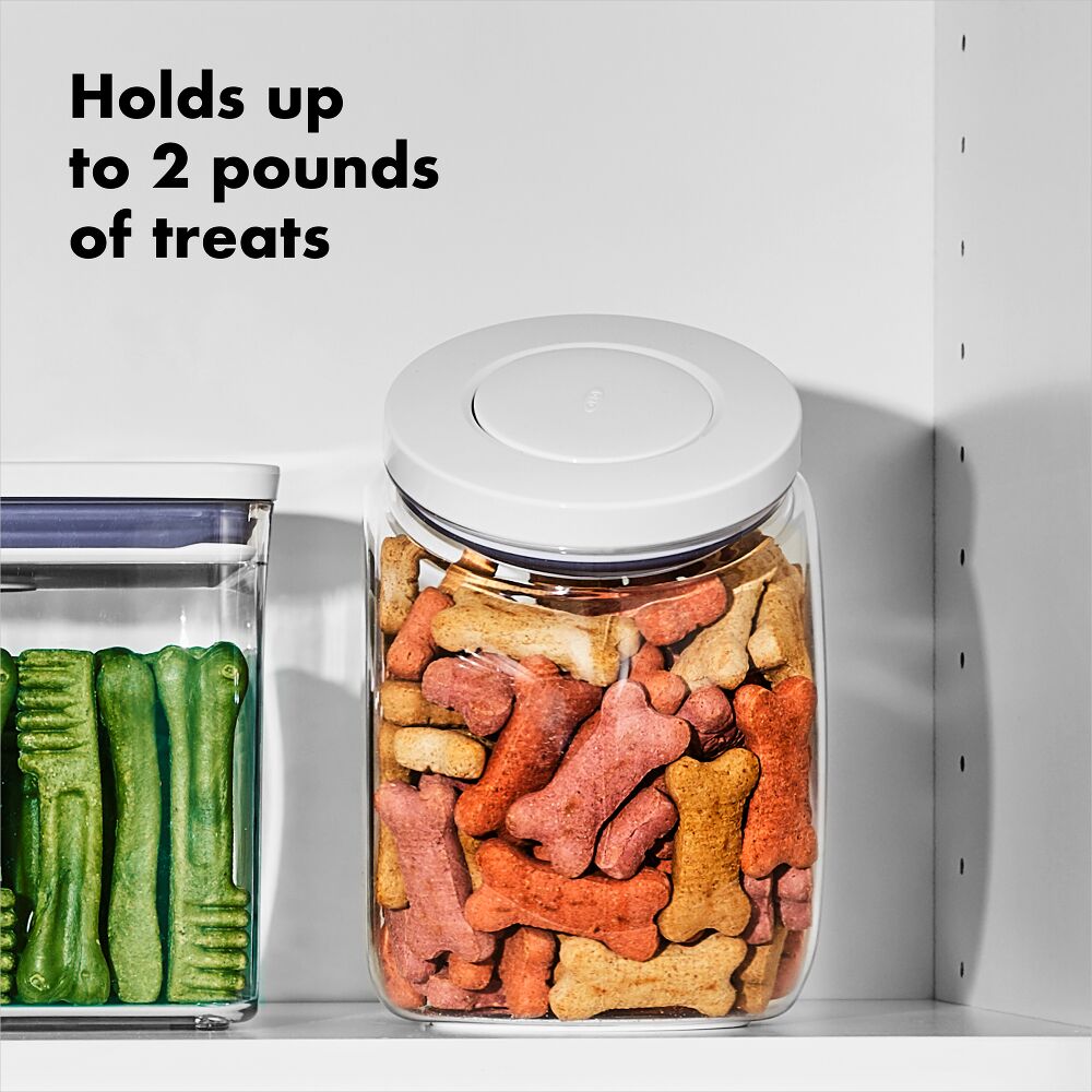 OXO Good Grips Pet POP Container – 3.0 Qt/2.8 L H9