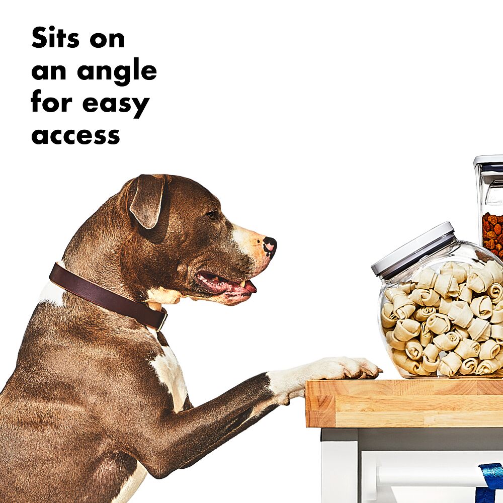 OXO Good Grips Pet POP Container – 3.0 Qt/2.8 L H9