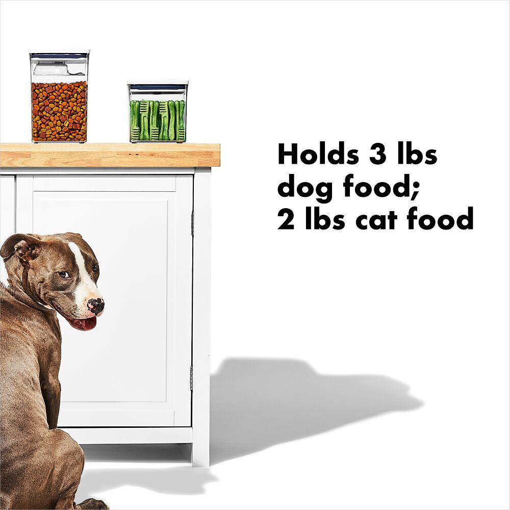 OXO Good Grips Pet POP Container – 2.8 Qt/2.6 L K8