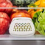 Produce Saver Crisper Drawer Insert  2-Pack E3
