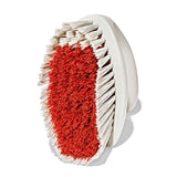 All-Purpose Scrub Brush 2-Pack F7
