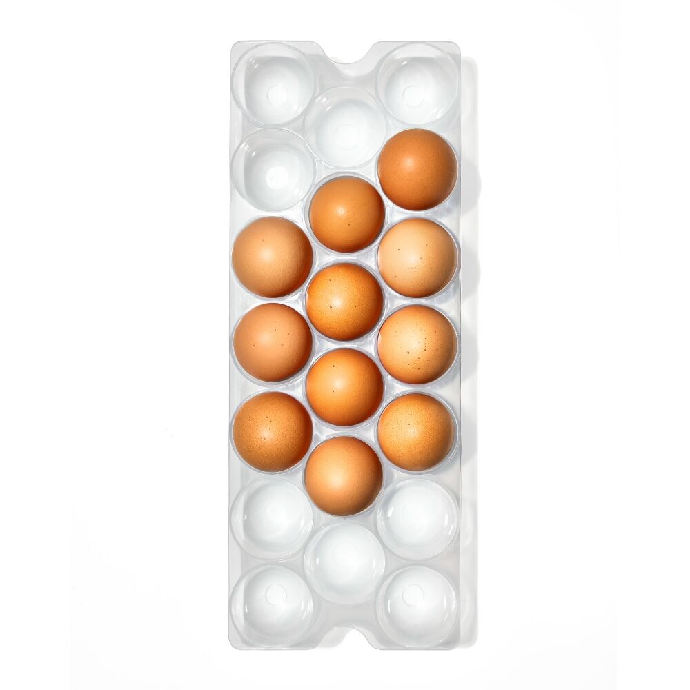 Refrigerator Egg Bin With Removable Tray M5