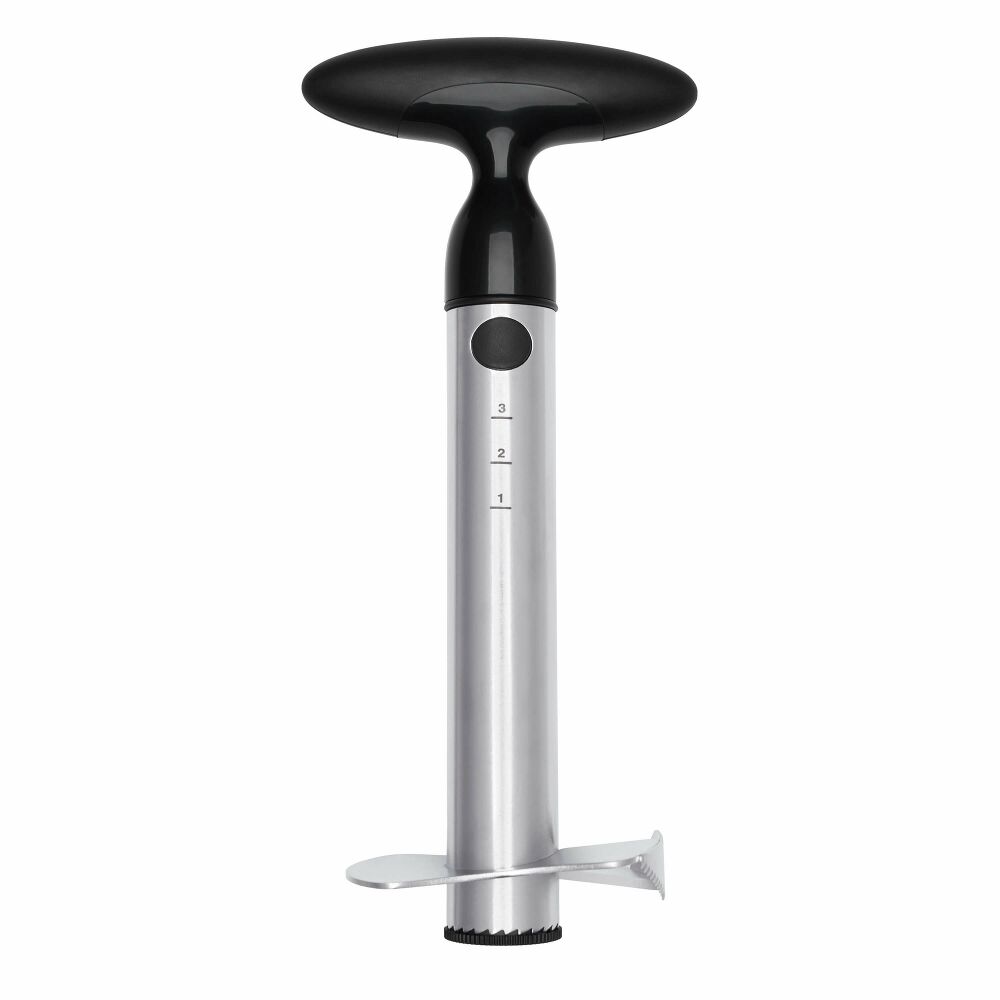 Stainless Steel Pineapple Slicer O1