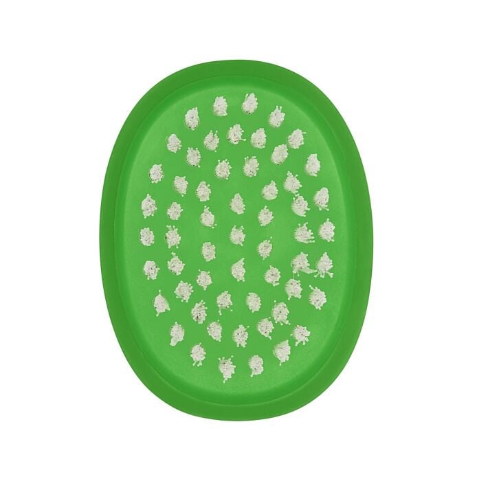 Vegetable Brush P1