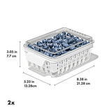 Produce Saver - Berry Keeper 2-Piece Set P0