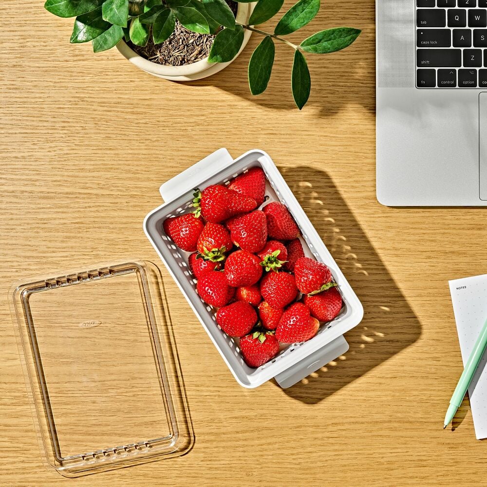 Produce Saver - Berry Keeper 2-Piece Set P0
