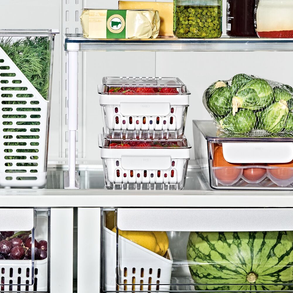 Produce Saver - Berry Keeper 2-Piece Set P0