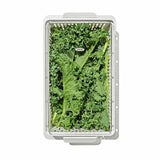 Produce Saver - Medium Bin X0