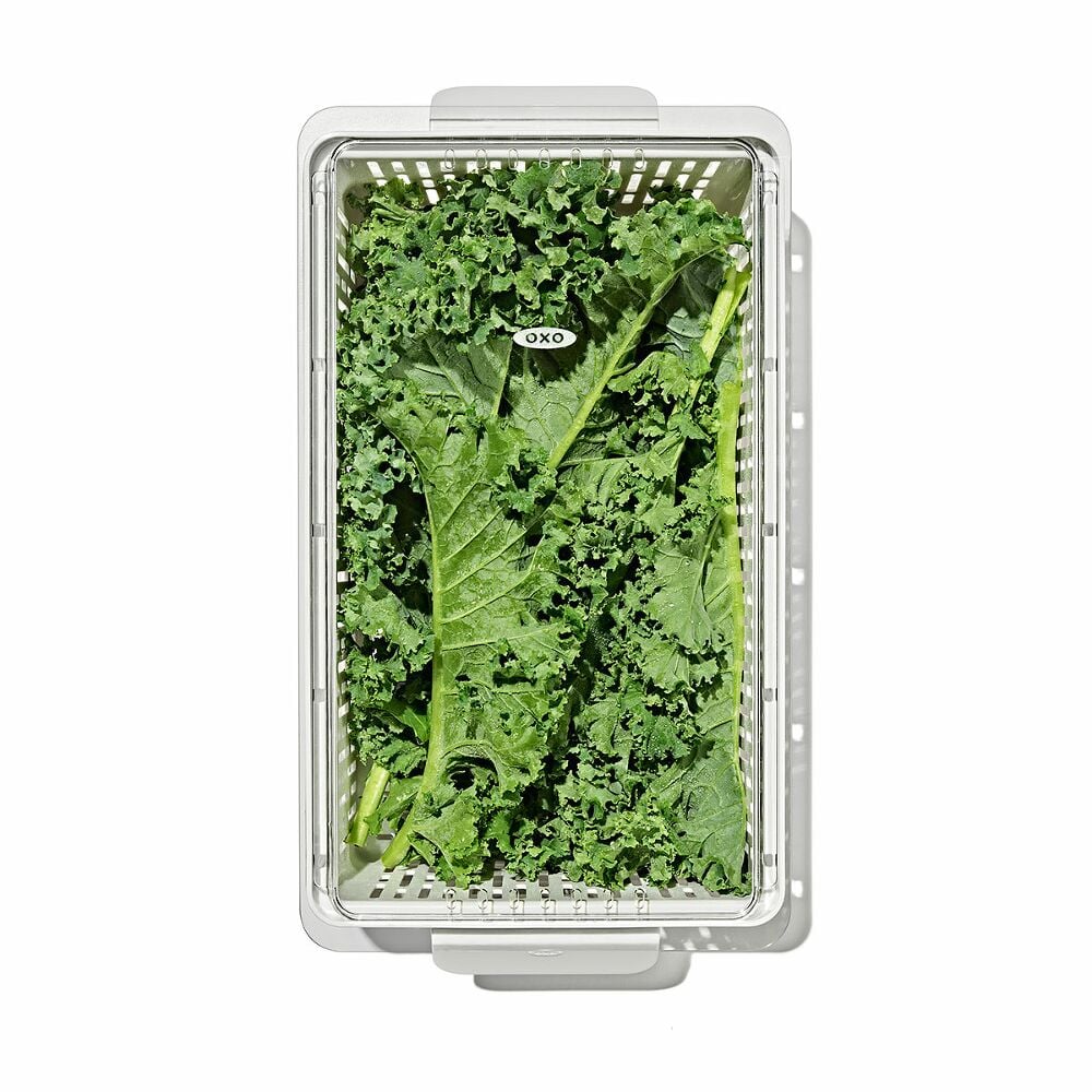 Produce Saver - Medium Bin X0