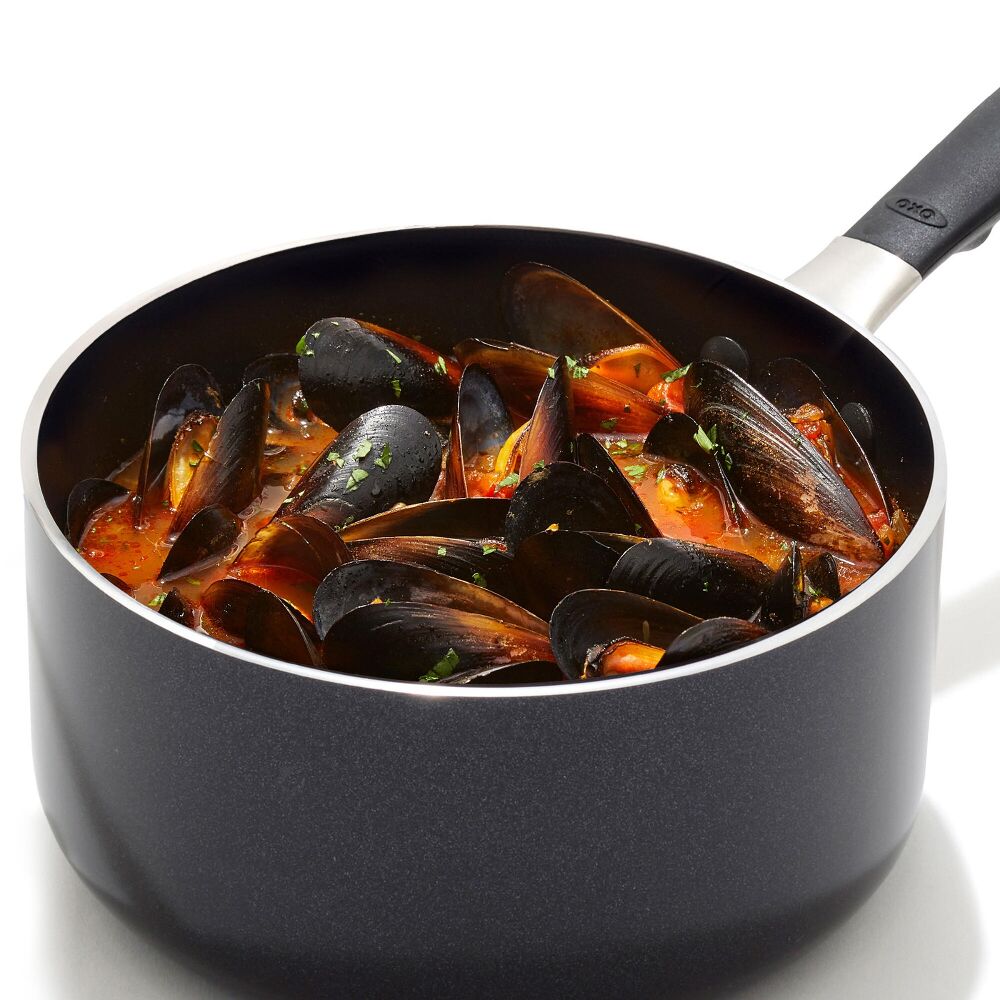Non-Stick Pro Every Day 1.6 Qt Saucepan with Lid V6