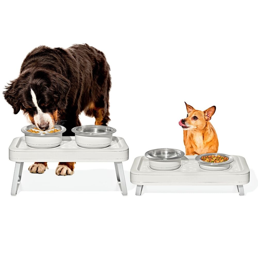 OXO Pet Adjustable Elevated Feeder C7