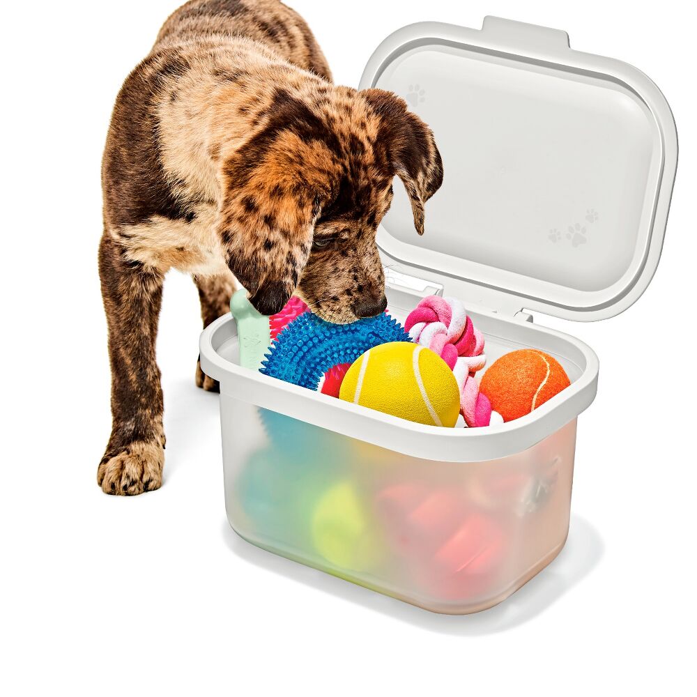 OXO Pet Multi-Purpose Container R9