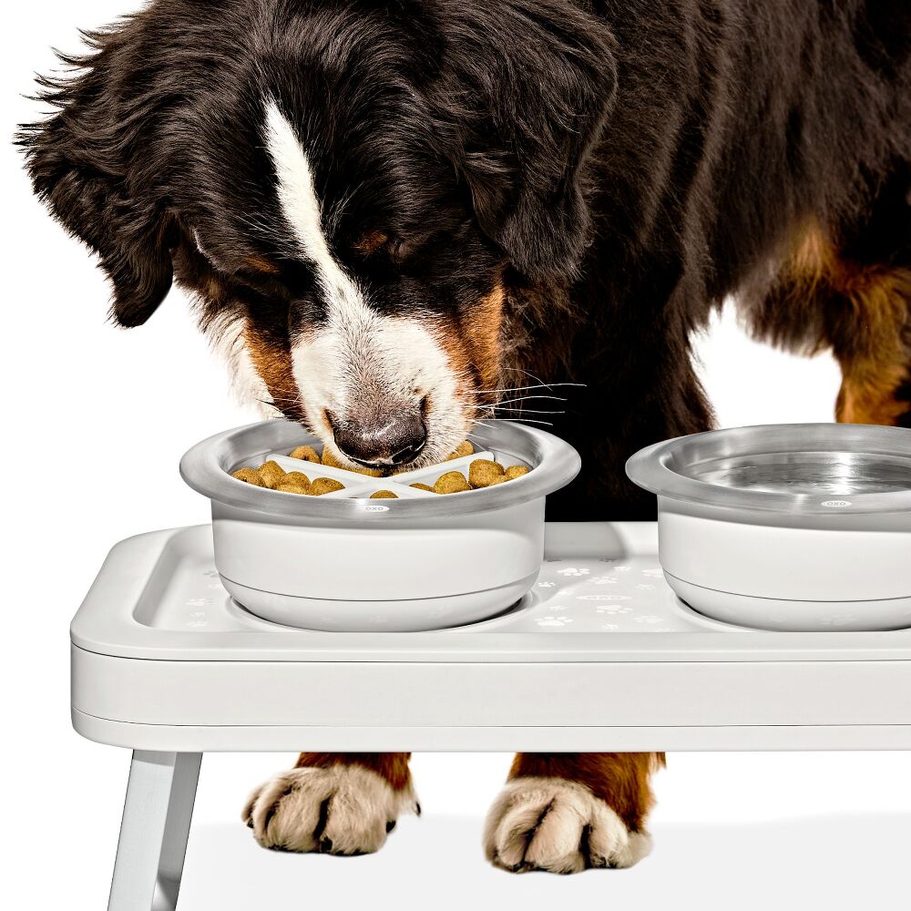 OXO Pet Easy-Clean Slow Feeder - Medium, 2 Cups/489 mL Q9