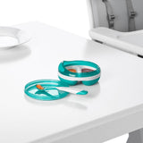Divided Feeding Dish with Removable Ring H0
