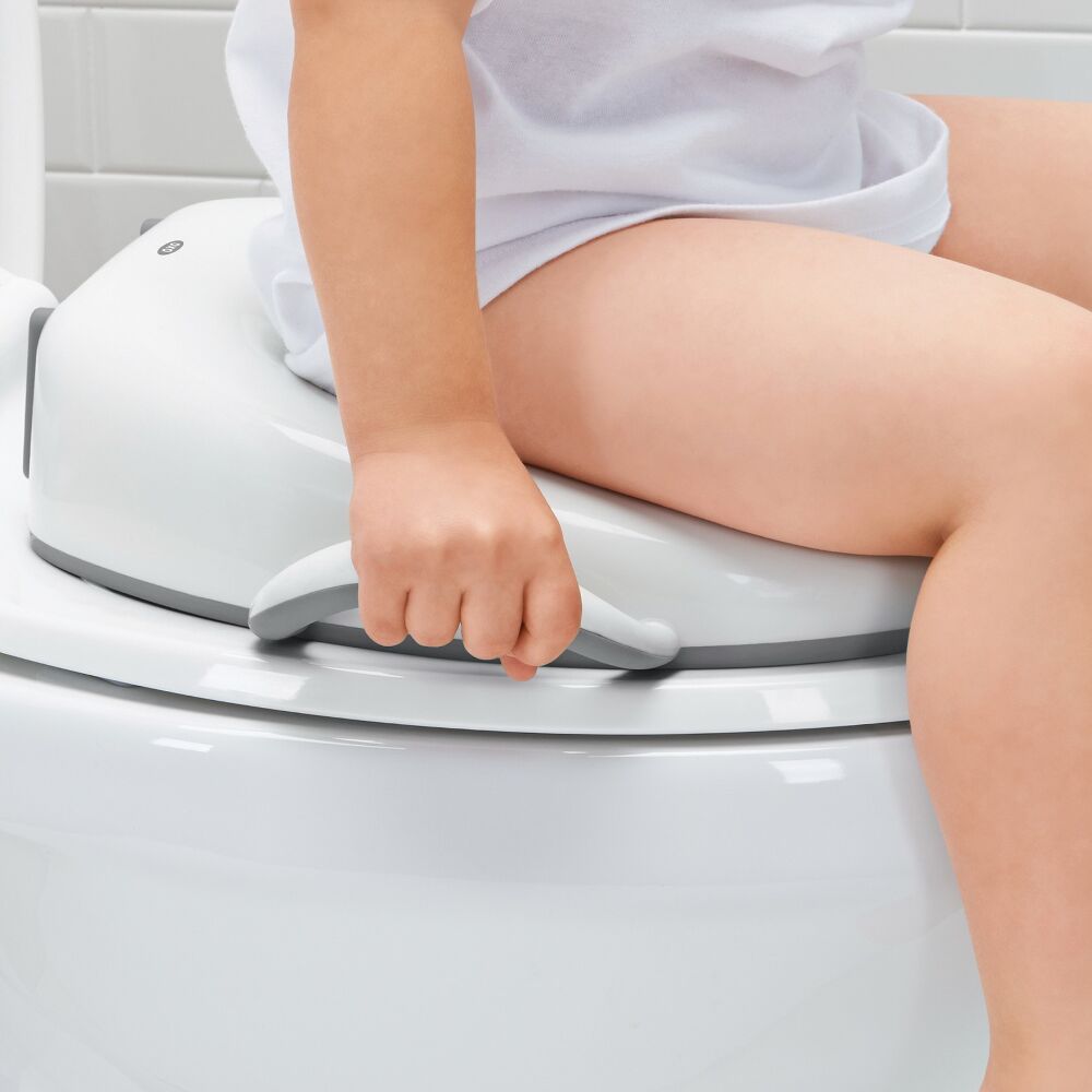 Sit Right Potty Seat - Gray R4