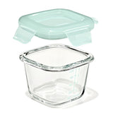 Glass Baby Blocks Food Storage Containers (4 oz) - Opal P1